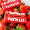 Xylitol Strawberry & Vanilla Pastilles 15g